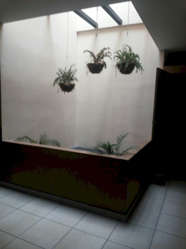 Hotel Quinta Avenida San José Esterno foto